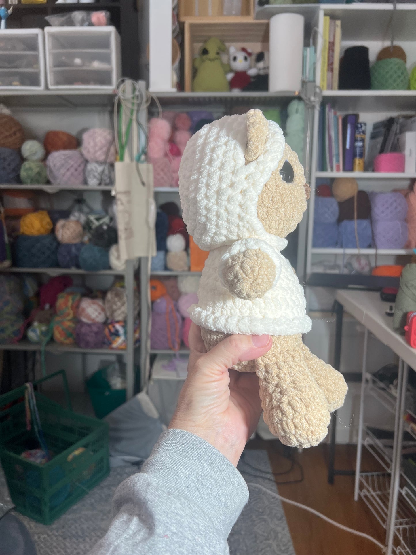 Teddy with white hoodie