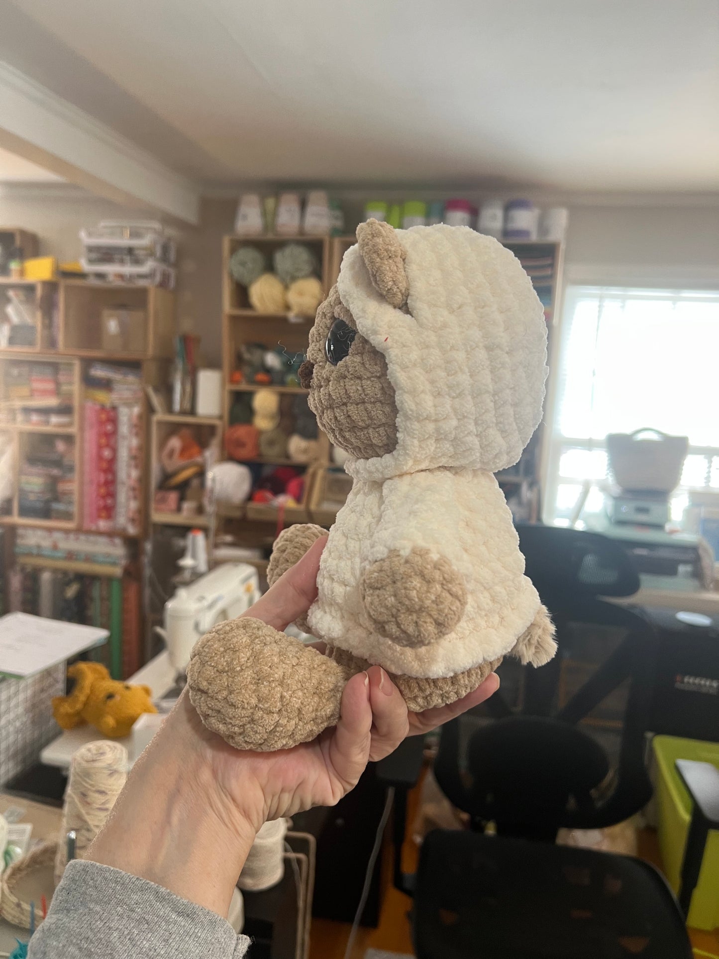 Teddy with white hoodie