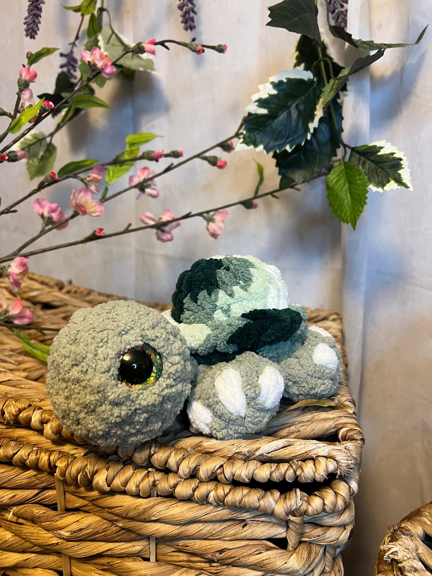 Hygee the turtle variegated green shell