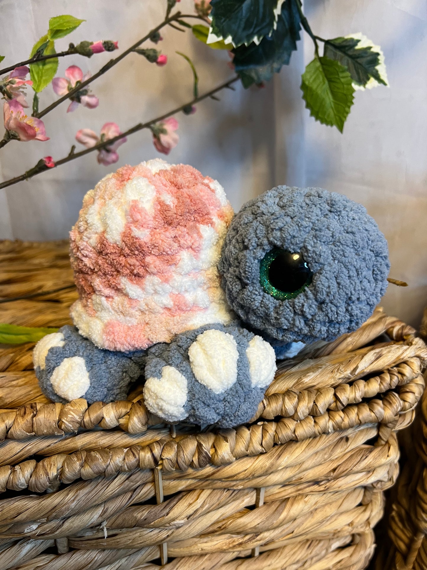 Hygee the turtle variegated pink shell