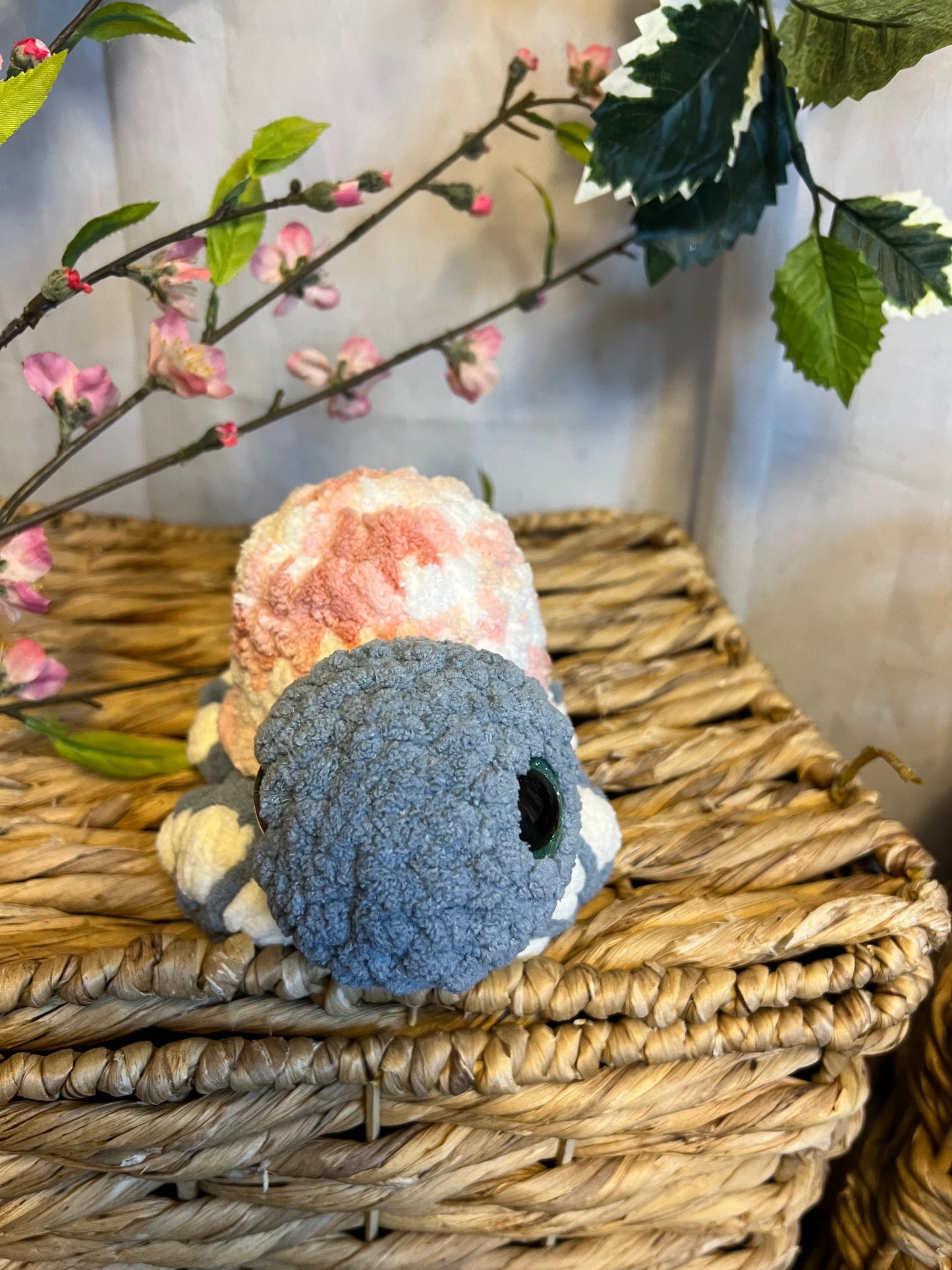 Hygee the turtle variegated pink shell