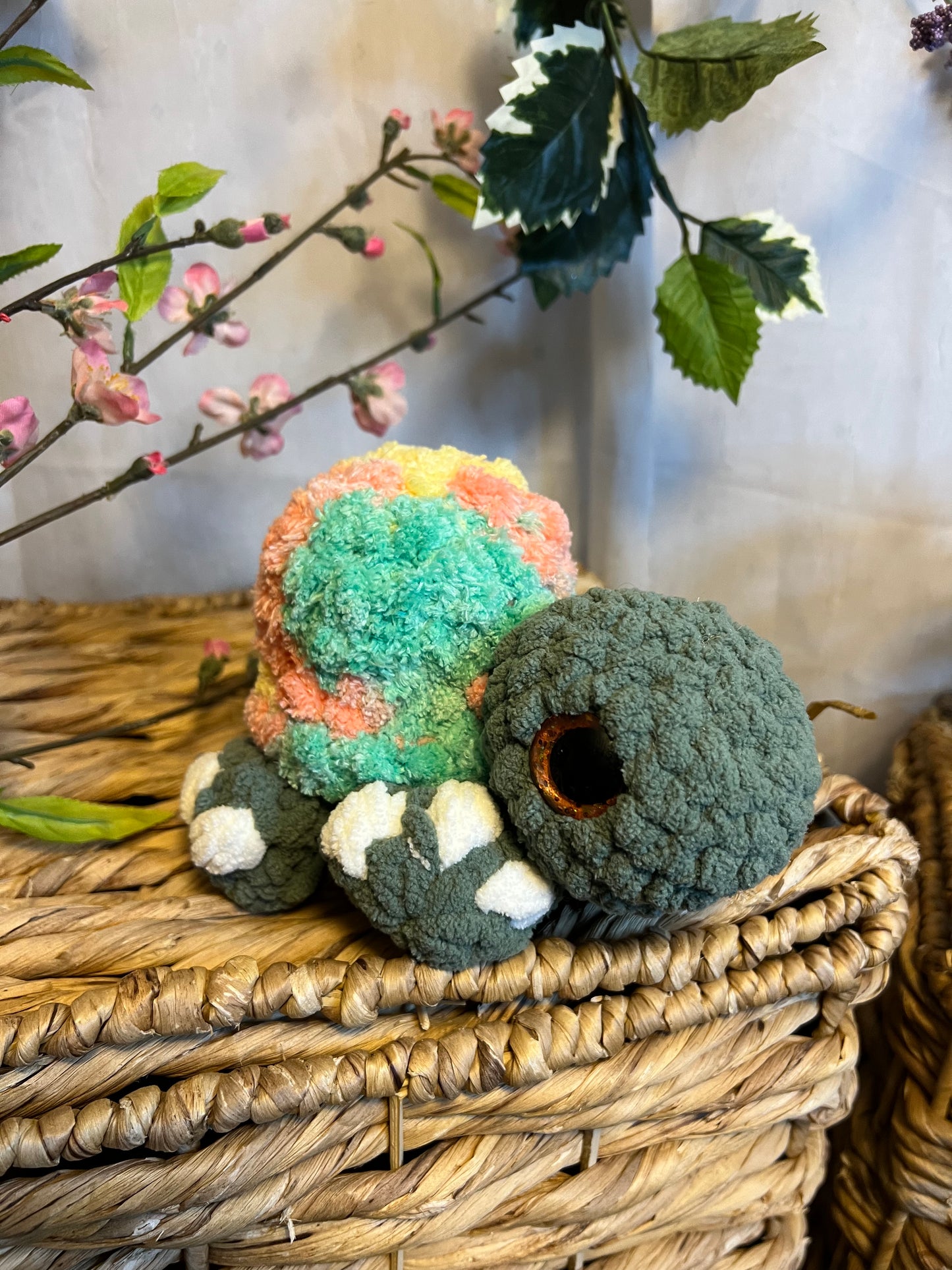 Hygee the turtle Variegated bright shell