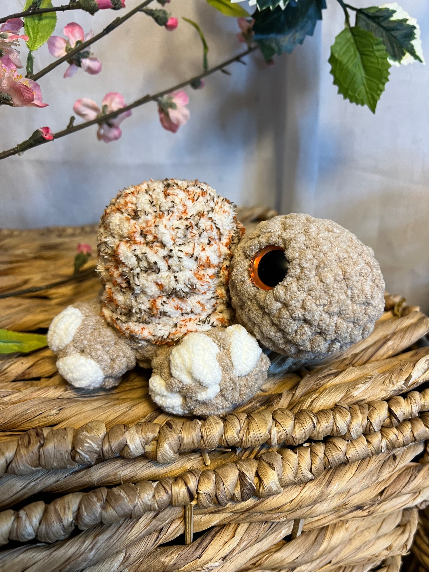 Hygee turtle variegated brown shell