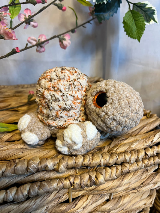 Hygee turtle variegated brown shell