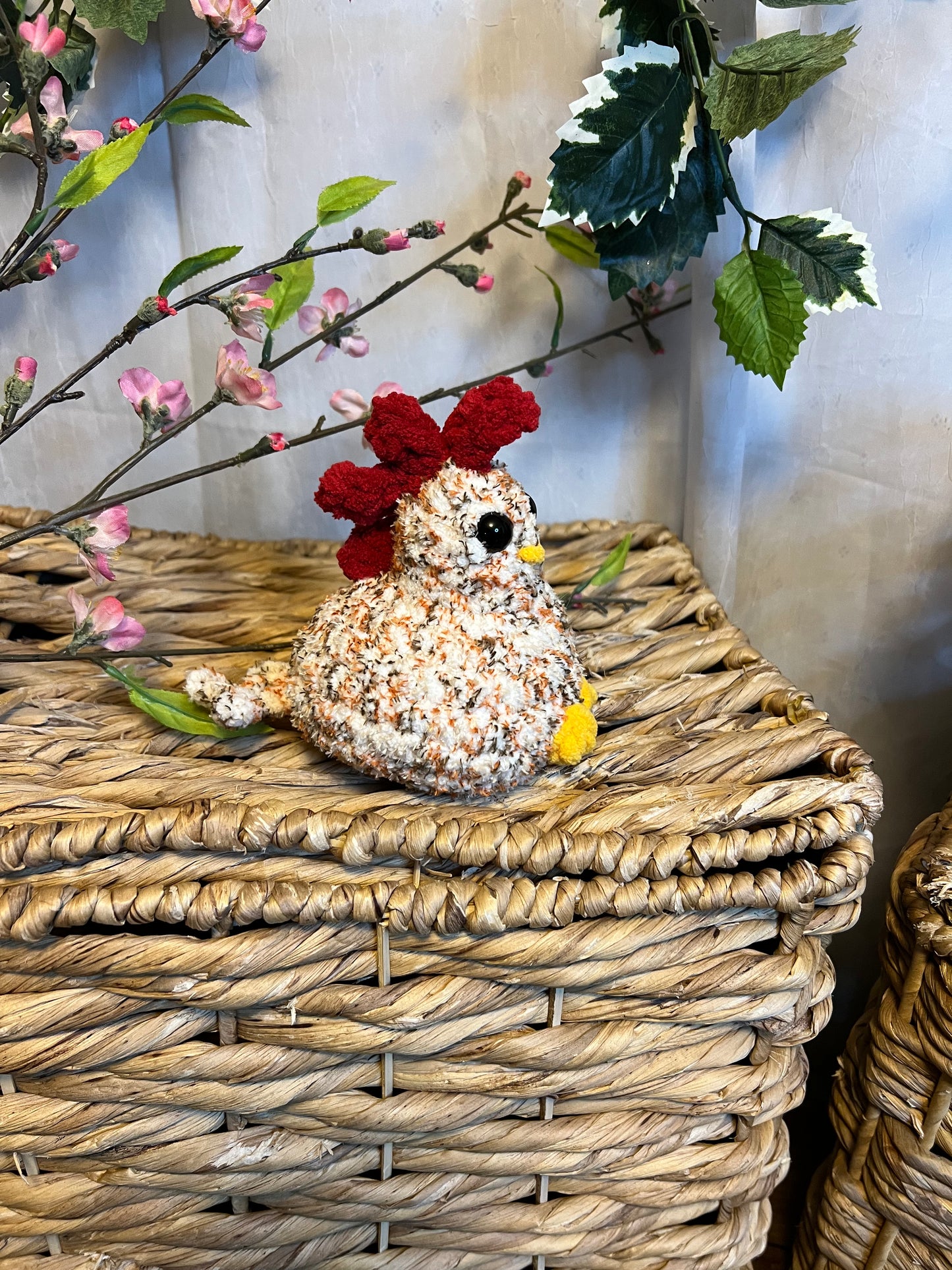 Small chicken Variegated orange