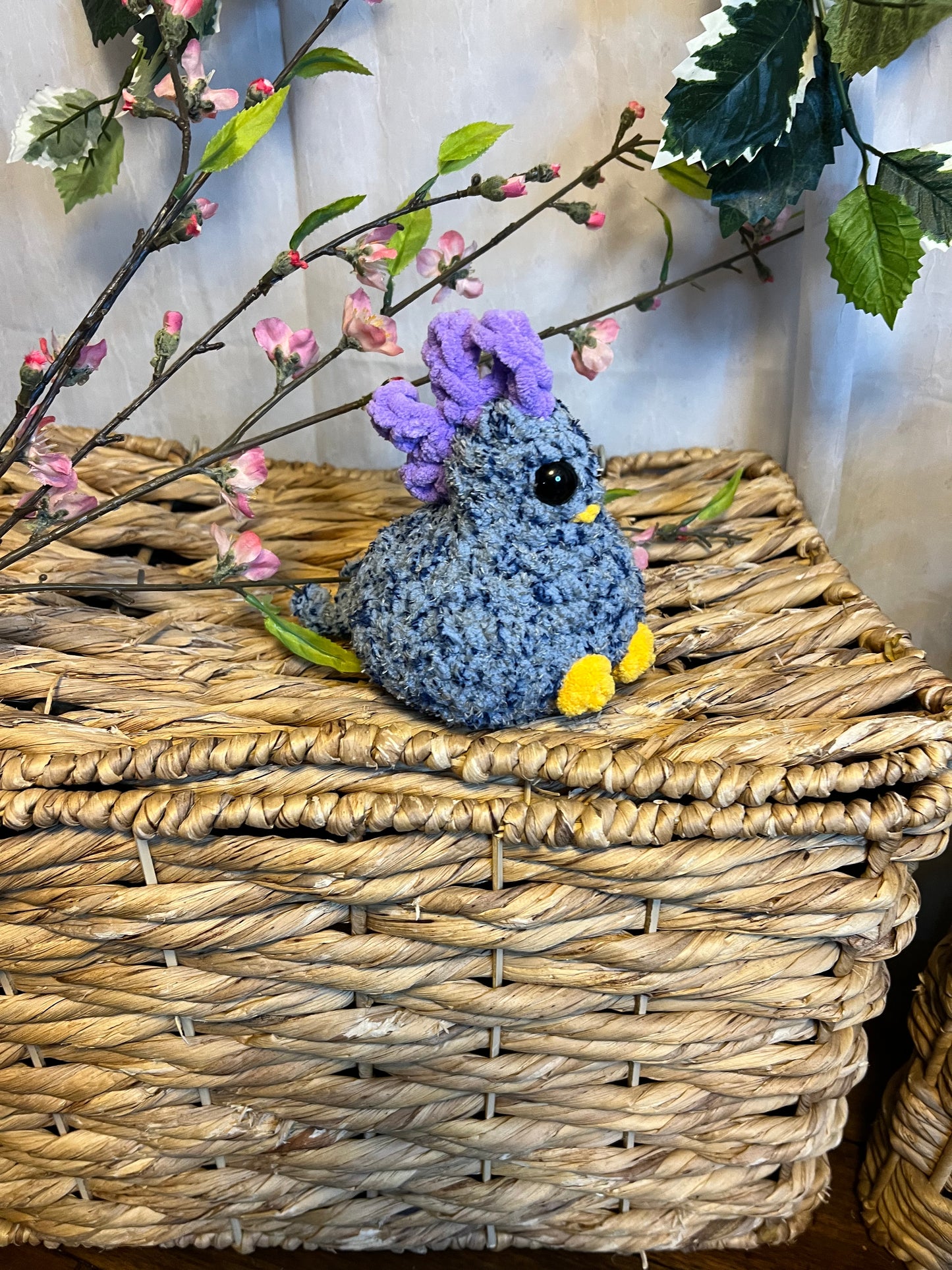 Small chicken Blue