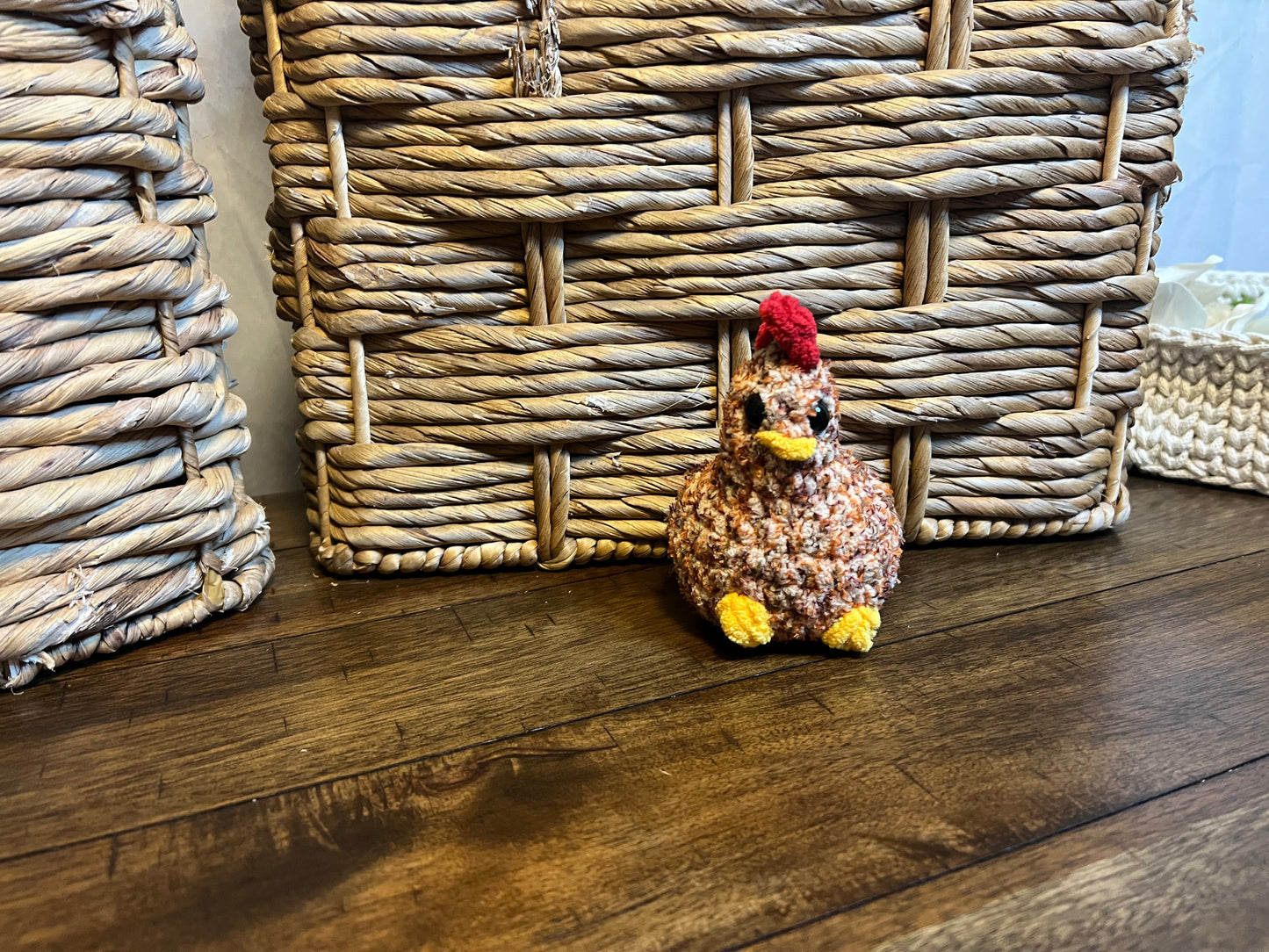 Itty chicken variegated rust