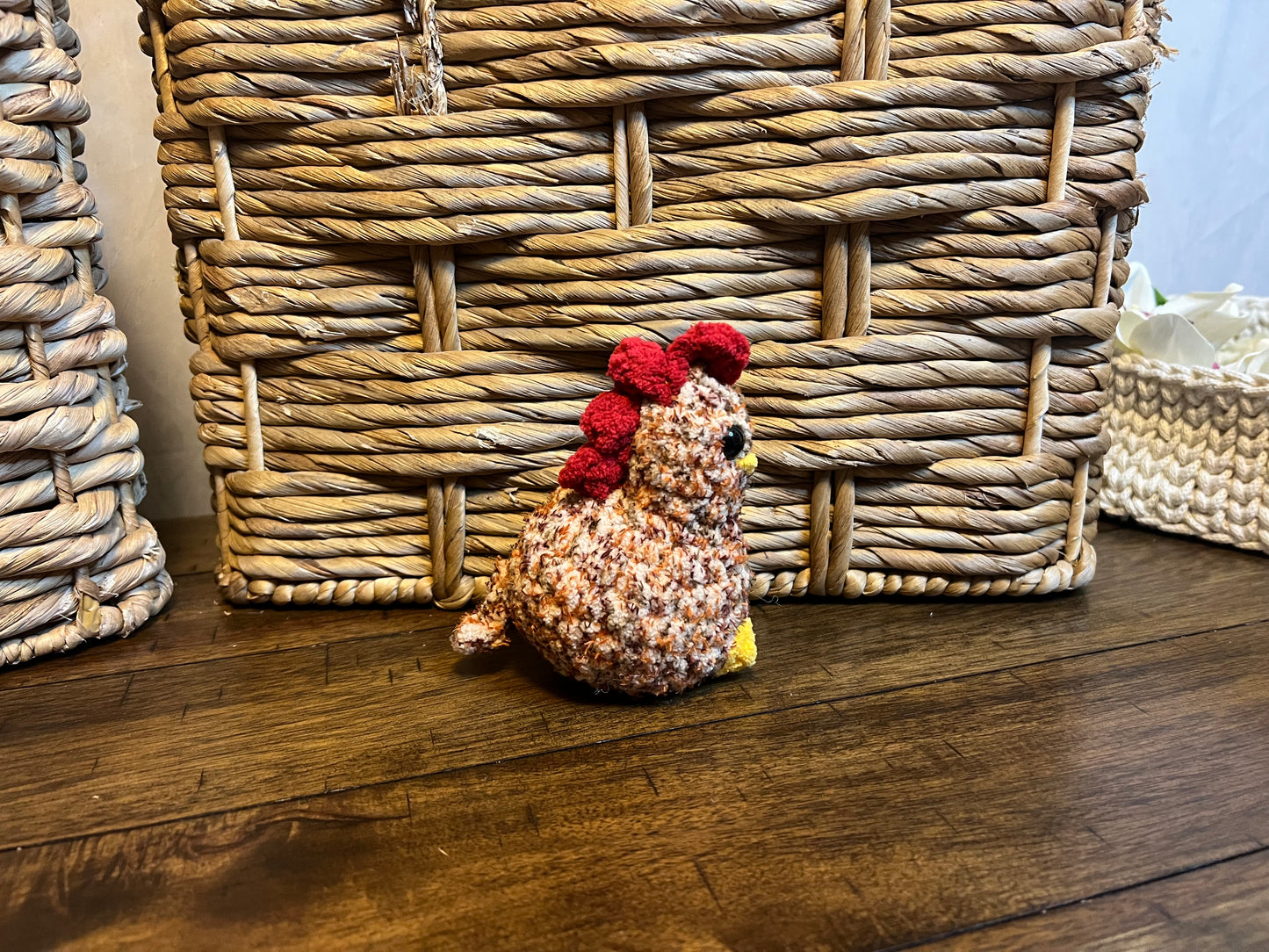 Itty chicken variegated rust