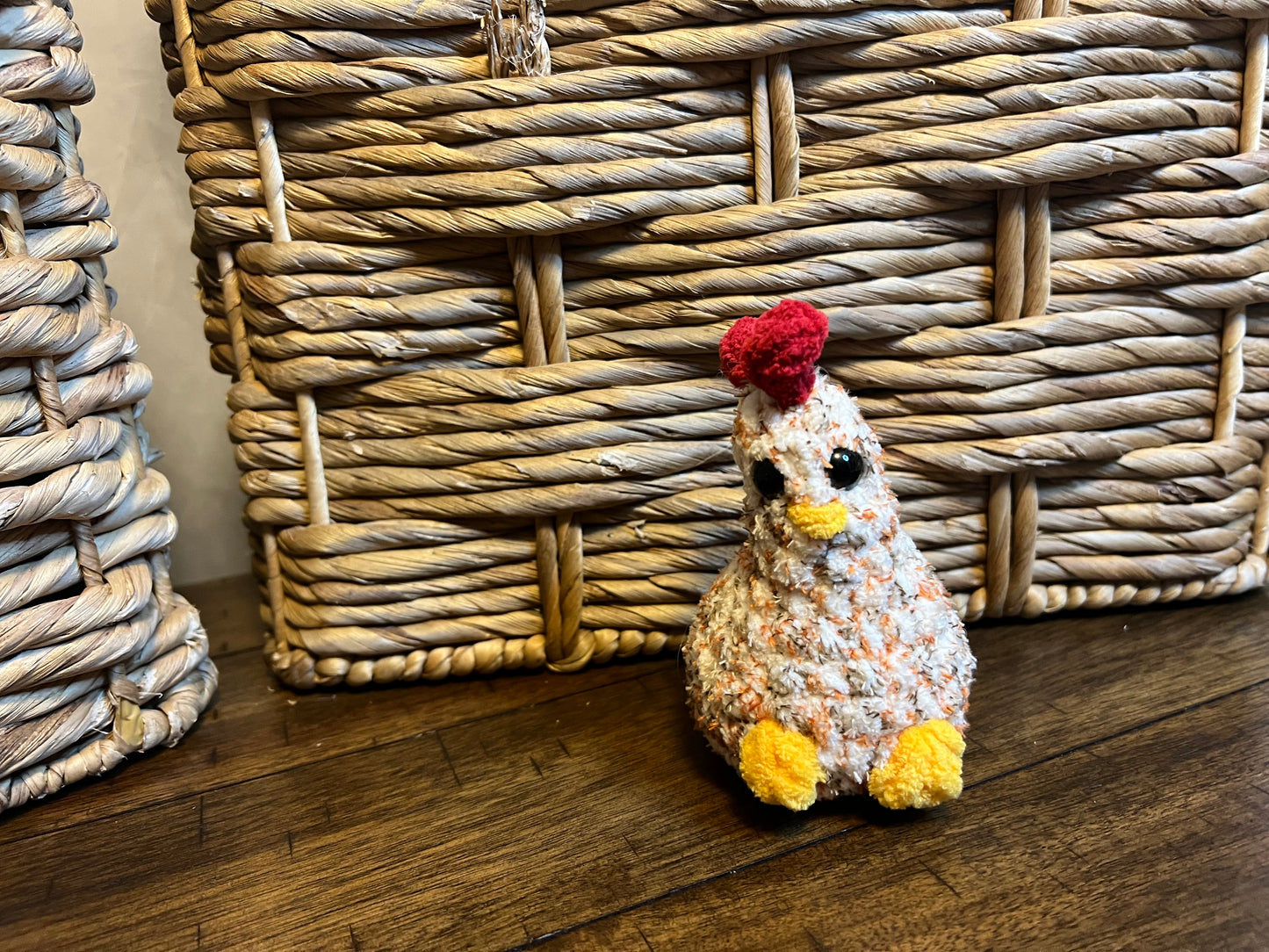 Itty chicken variegated orange