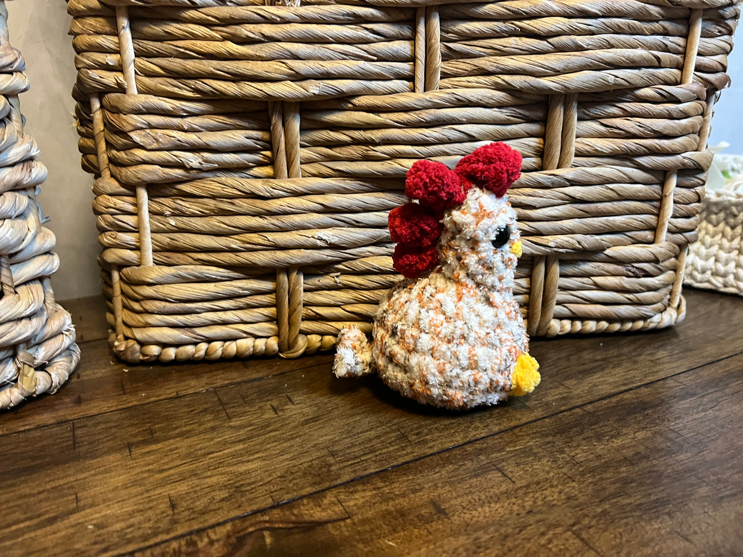 Itty chicken variegated orange