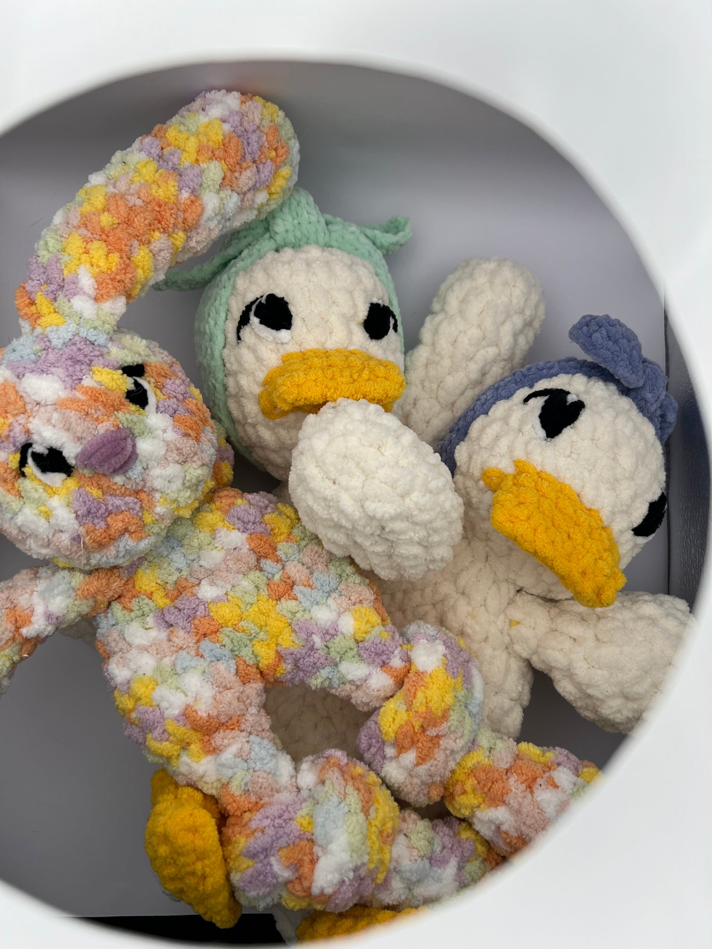 Bunny cuddle crew